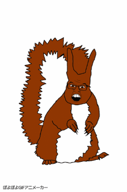 1000032139.gif