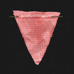 pink-triangle.jpeg