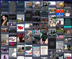 imgur.jpeg