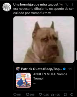 Screenshot_20241107_190755_X.png