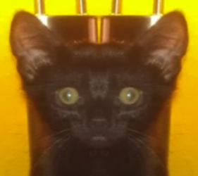 babyphoto.png