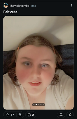 Screenshot_20241107-231320~2.png