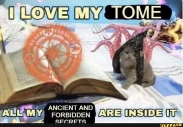 IMG_2782.jpeg