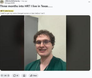 Screenshot 2024-11-08 at 01-06-58 Three months into HRT I live in Texas…… r_WitchesVsPatriarchy.png