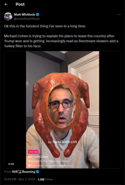 1731087751704.png