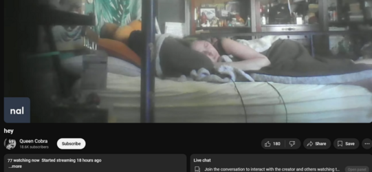 -Screenshot 2024-11-08 at 14-43-00 hey.png