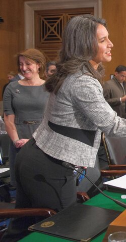 tulsi.jpeg