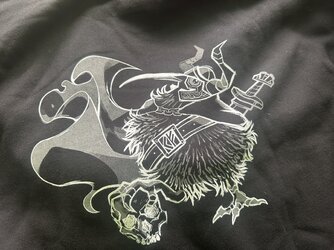 Kiwi hoodie.jpeg