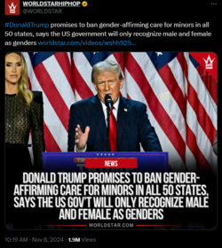 trump ttd.png