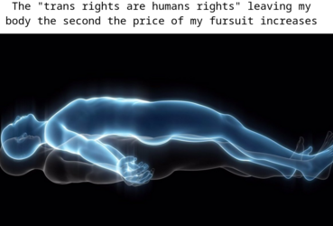 trans rights are human rights.png