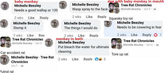 1731115375699.png