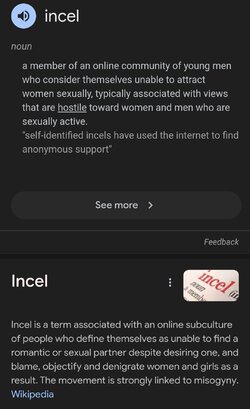 Screenshot_20241108_202801_Chrome.jpg