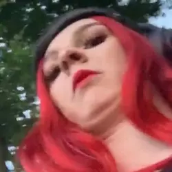 1731166338109.png