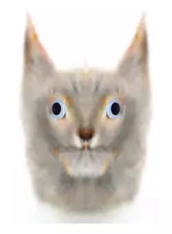 warped.png