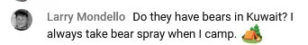 idiotcomment4.jpg