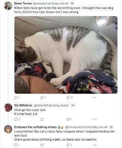 cat.jpg cat.jpg