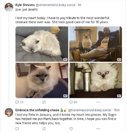 cats.jpg cats.jpg