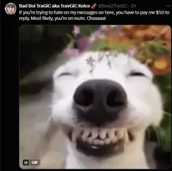 1731192294249.png