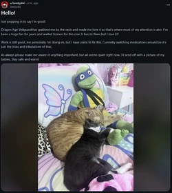 Lamby.jpg
