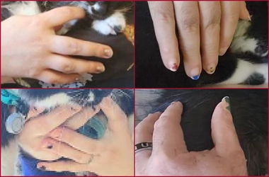 nails.jpg