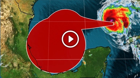 Kiwi Gunt Hurriciane.jpg