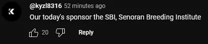 1731273032391.png