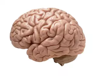 E0A4DE1F-6104-4210-85BA-7FA326B08C73.webp