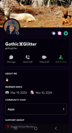 Screenshot_20241110_170822_Discord.jpg