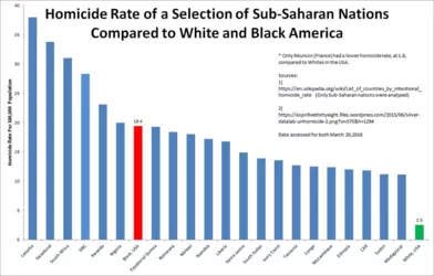Homicide Rate Africa vs US.png