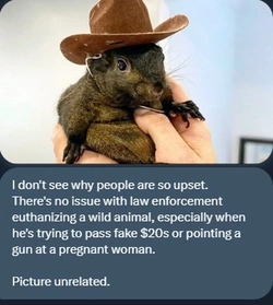 1731302245053.jpeg