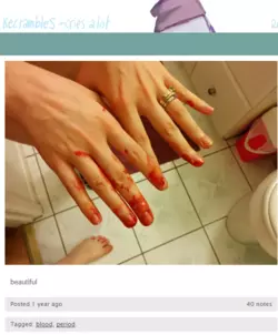 1731314260176.png
