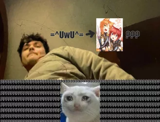 catboy.jpg
