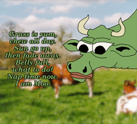 47a40e53277dc5f2.gif