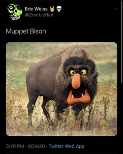 f24e8853112c198f.jpg