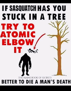 b68c943c7a656e7e.jpg