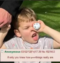 1731367052569.png