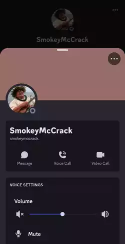 Screenshot_20241108_224039_Discord.jpeg