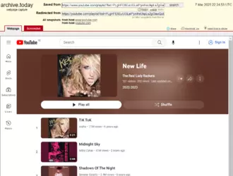 007.008.02.2.1 YT Playlist - NEW LIFE.png