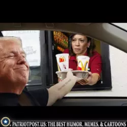 1731391072578.png