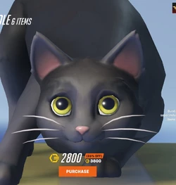 Screenshot 2024-11-13 034437.jpg