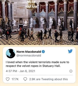 norm.jpg