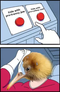 1731452005293.png