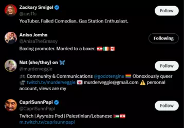 alyssa's notable followings.png