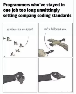 8cba3f0d3cdf011d.jpg