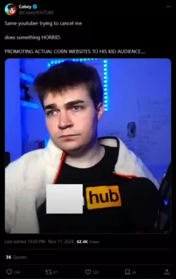Screenshot 2024-11-12 at 20-55-39 Cobey on X Same youtuber trying to cancel me does something ...png