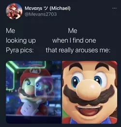 1731462968448.png