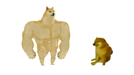 1731463155071.jpeg
