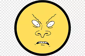 1731465196667.png