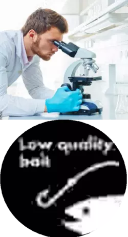 microscopiclevels.png