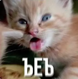 beb.png